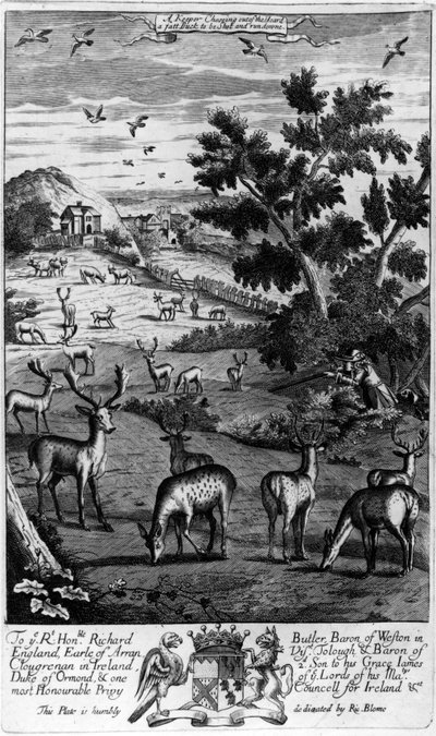 Ein Wildhüter wählt aus der Herde einen fetten Bock aus, der geschossen und gejagt werden soll, aus 
